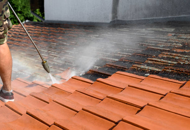 Best Commercial Building Pressure Washing  in Manassas Park, VA